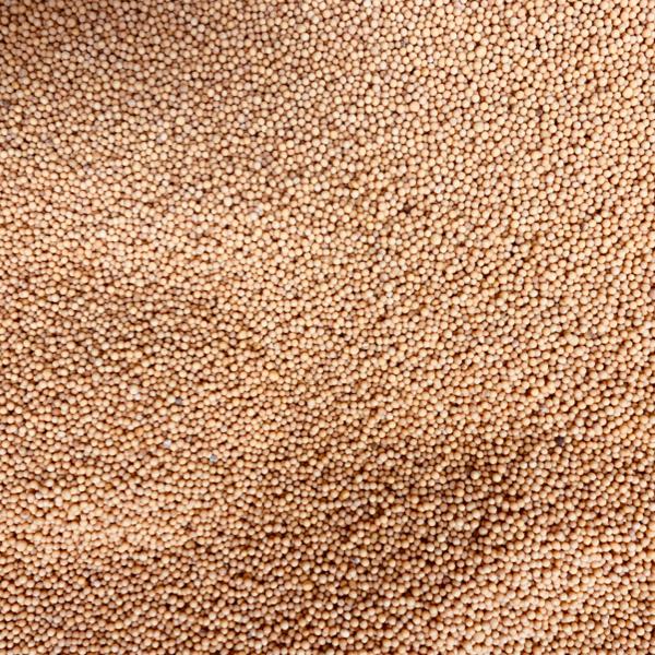Imagen de MOSTAZA EN GRANO 50g
