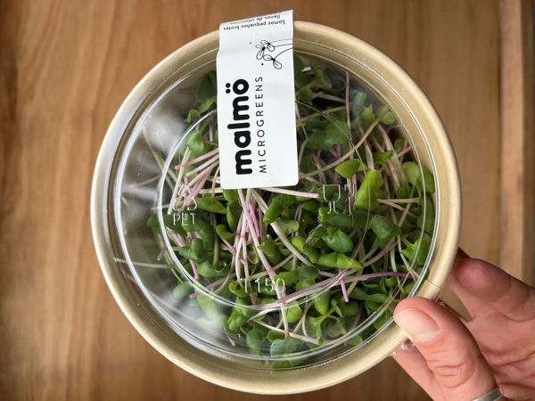 Imagen de MICROGREEN MALMO 70g